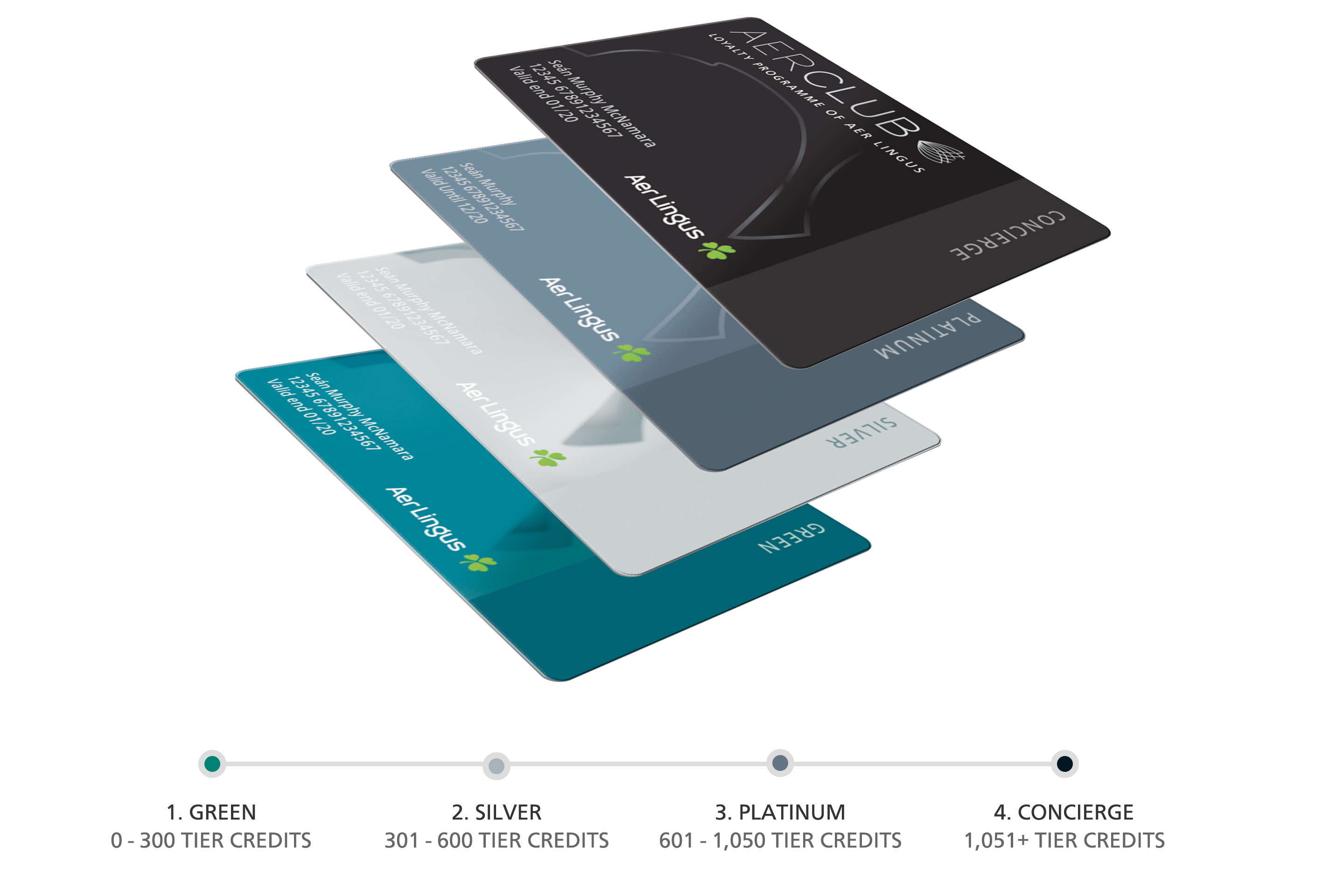 aer lingus baggage allowance